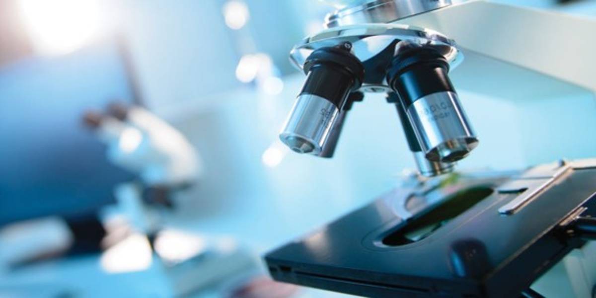 B.Sc. Microbiology