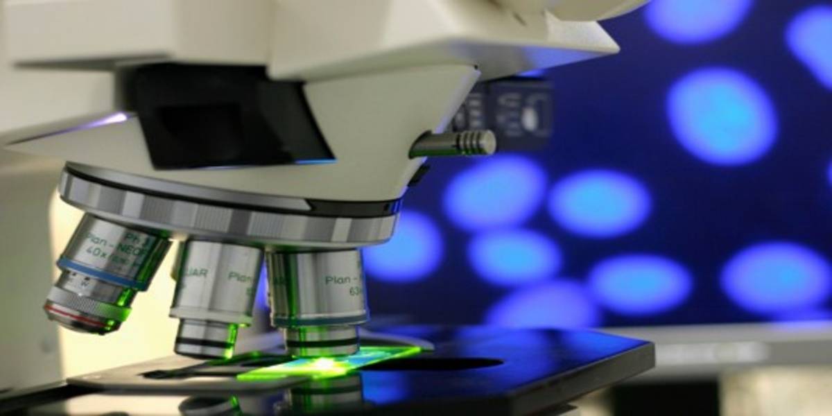M.Sc. Microbiology Course